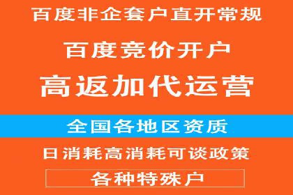 SEM推广公司案例：打造行业领军品牌
